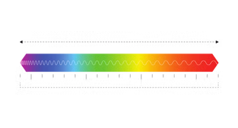 BIOPHILIA (5).png